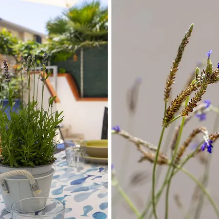 Holiday home Sogno Di Mare
